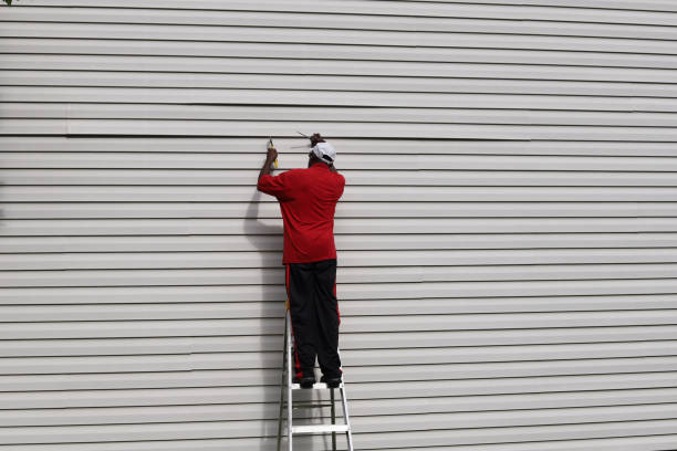 Affordable Siding Repair and Maintenance Services in Springdale, AR